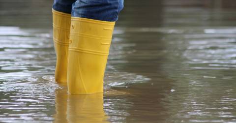 Met regenlaarzen in overstroming staan