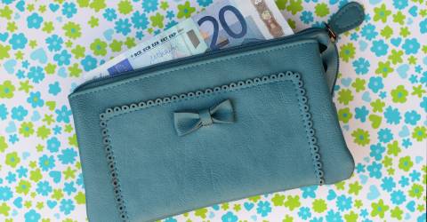 Prinsjesdag portemonnee met geld 